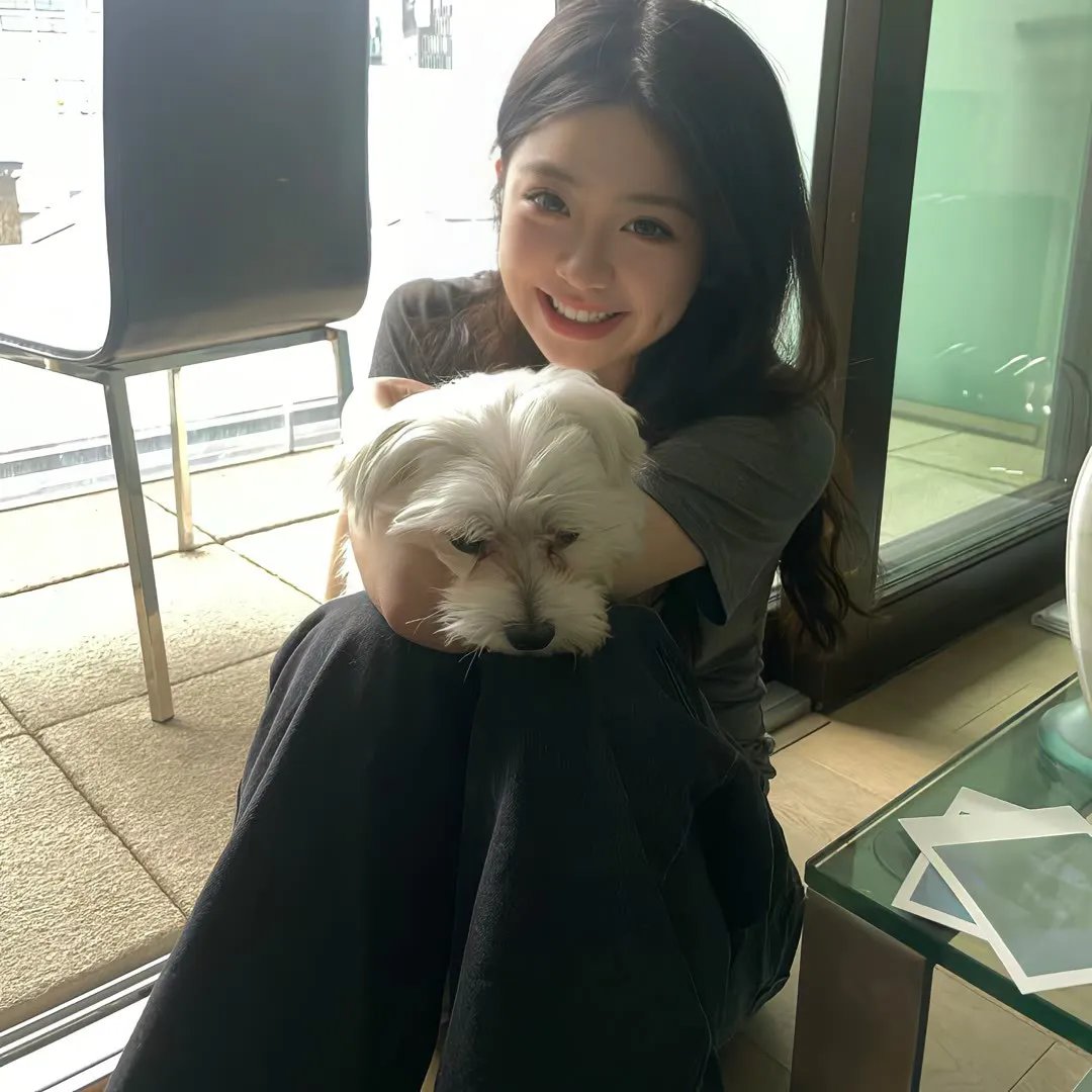大宋奇案之狸猫换太子传奇